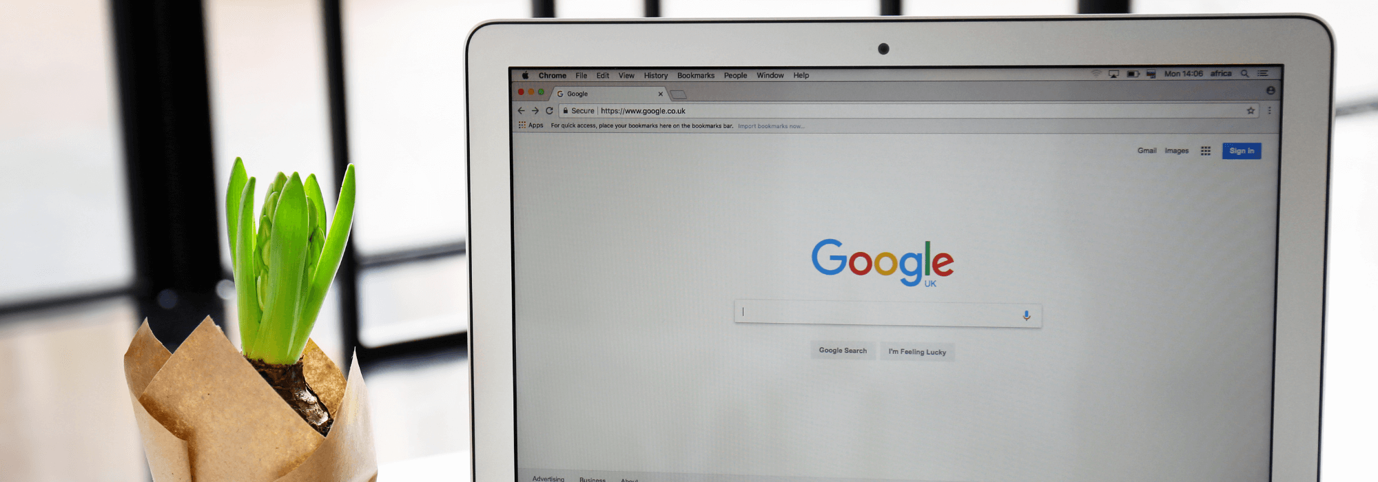 Featured image for “Google Ads vs SEO Blogging: Which works best for accountants?”